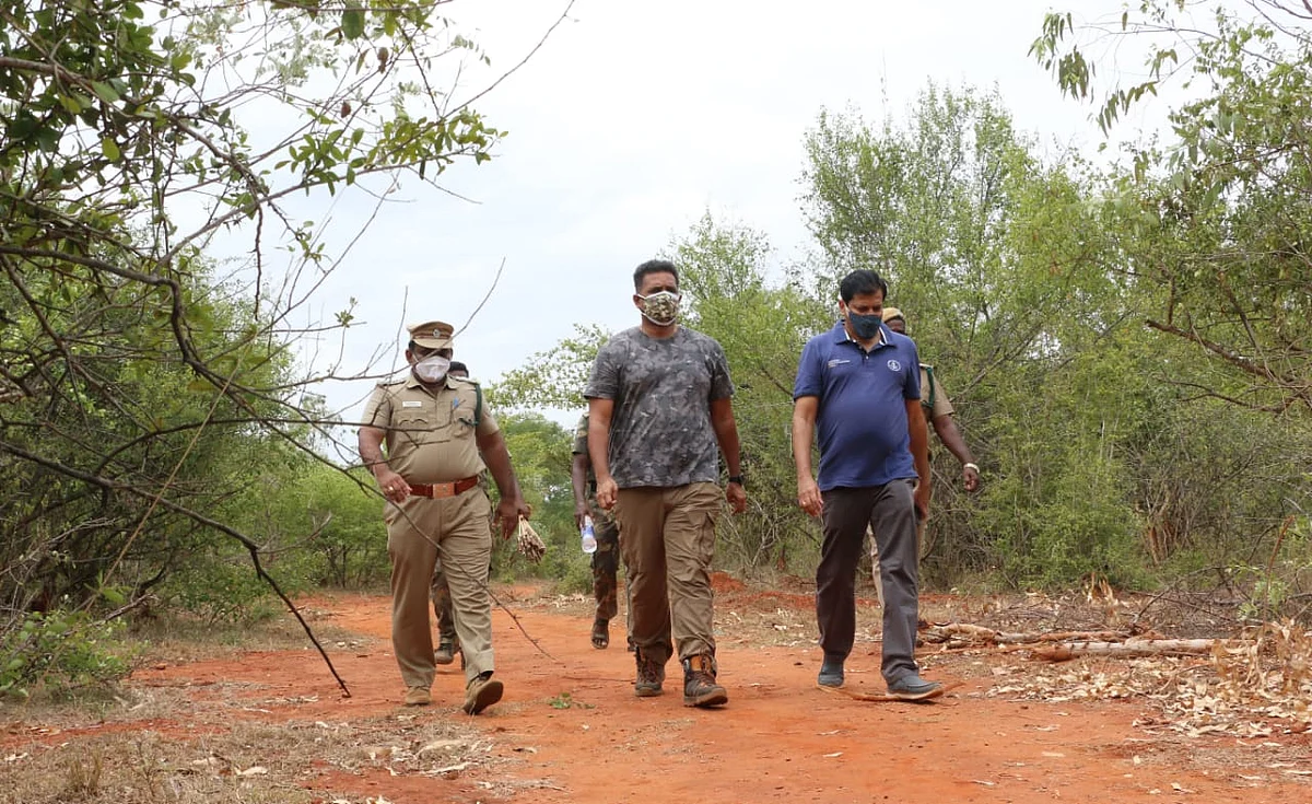 வனத்துறை