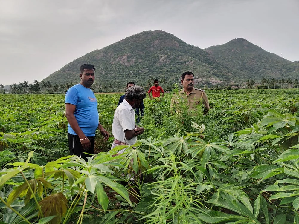 தோட்டத்தில் காவல்துறை அதிகாரிகள்