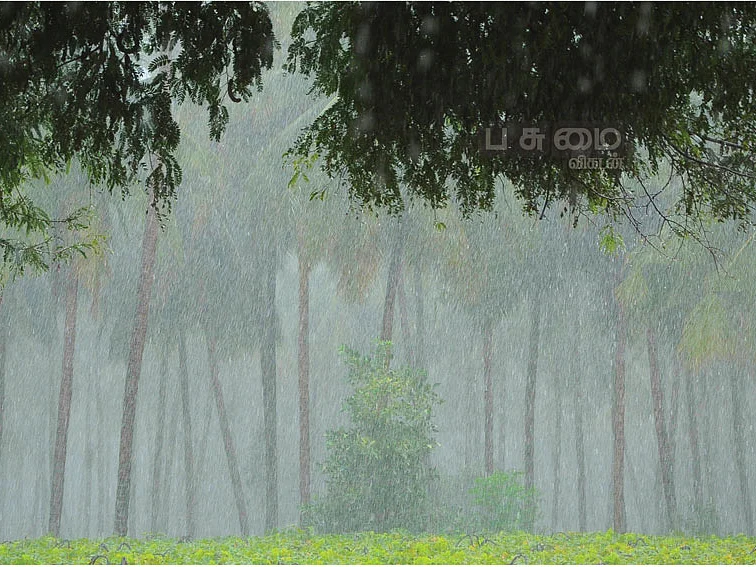 தென்மேற்குப் பருவமழை முன்னறிவிப்பு