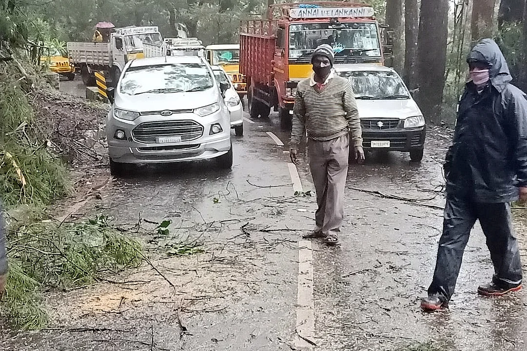 சாலையில் விழும் மரங்கள்
