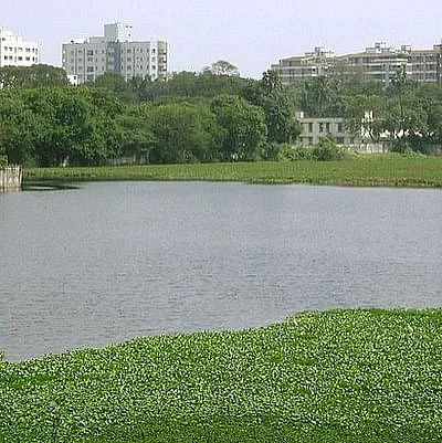 மெட்ராஸ் வரலாறு: சென்னையில் இத்தனை ஏரிகள் இருந்தனவா? - பகுதி 13