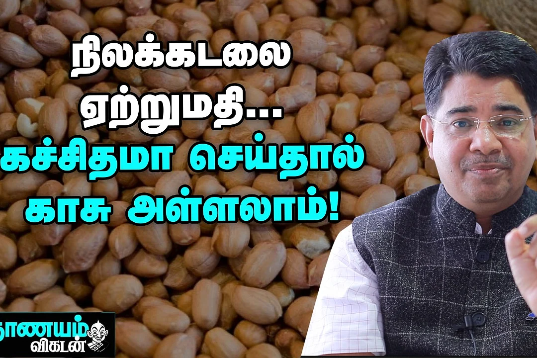 நிலக்கடலை ஏற்றுமதி