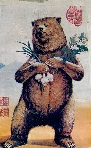 யங்கியோ