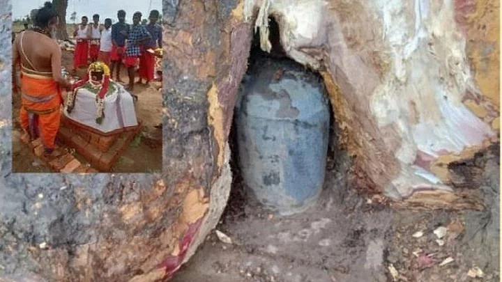 வேப்ப மர வேரில் பிரமாண்ட சிவலிங்கம்!