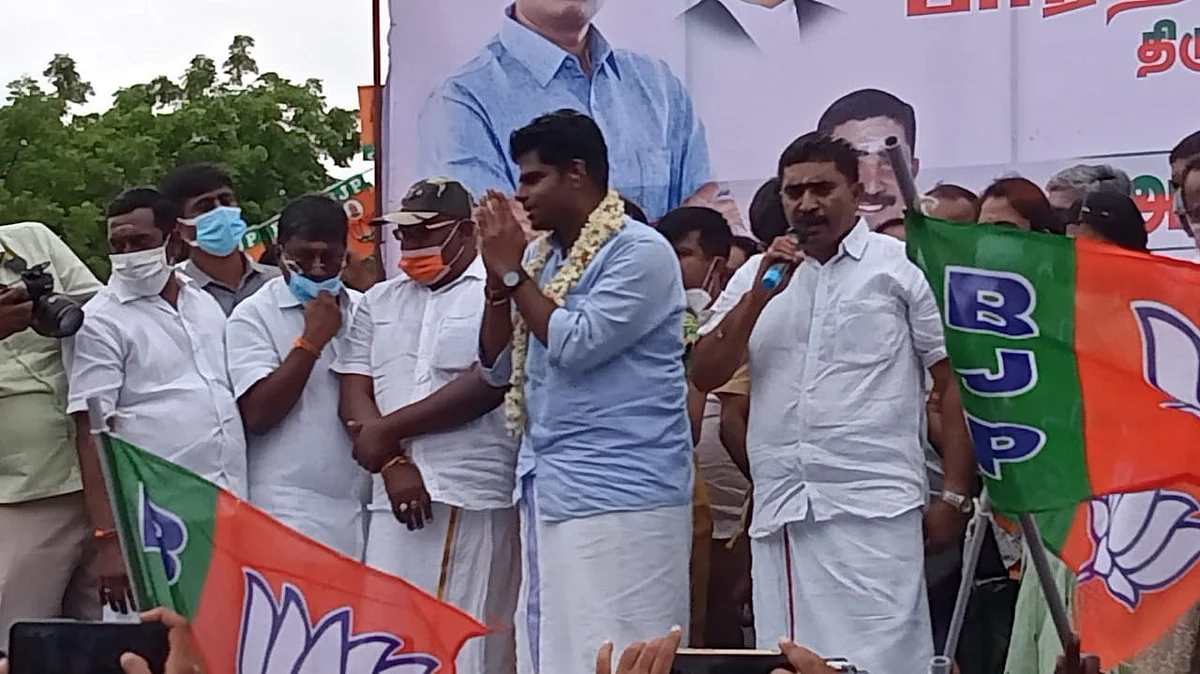 திருப்பூரில் நடந்த வரவேற்பு நிகழ்ச்சியில் அண்ணாமலை