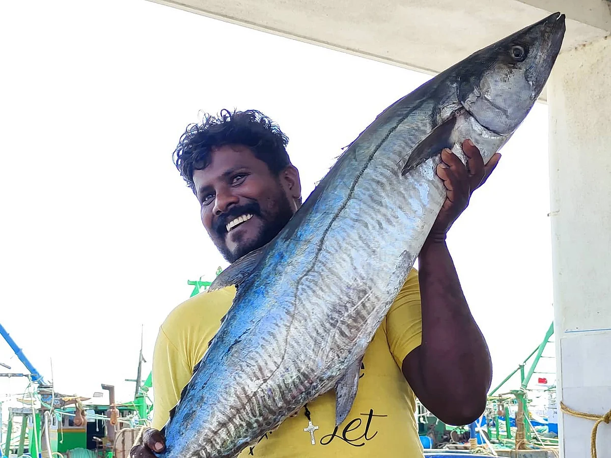 மீன் கடைன்னா ஈ மொய்க்கனுமா என்ன? - டிஜிட்டல் மீனவரின் வெற்றிக் கதை