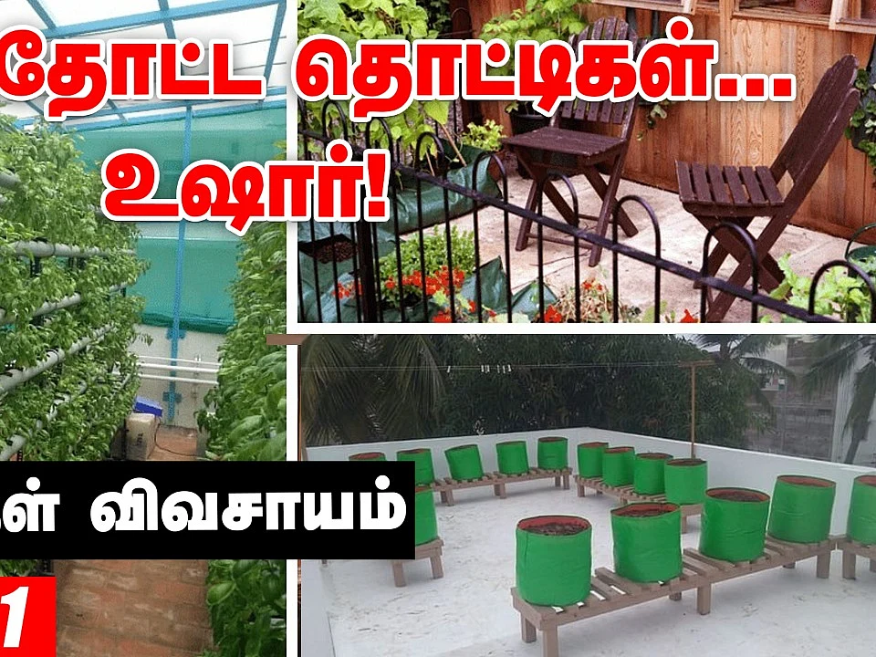 வீட்டுக்குள்ளயே விவசாயம்... ஆரம்பிக்கலாங்களா! - புதிய தொடர் - 1 | Terrace Garden