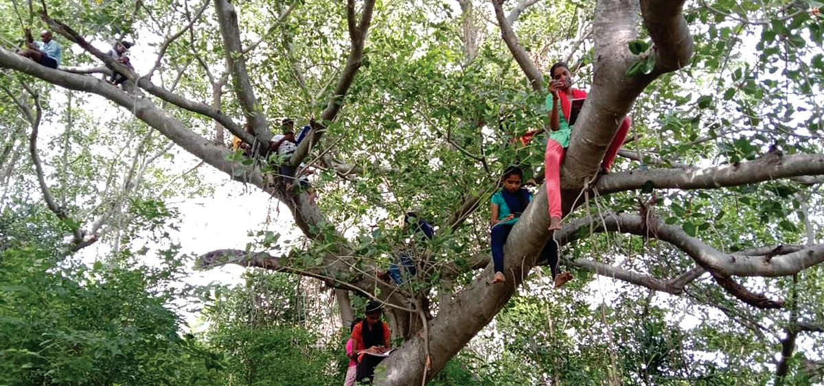 ஆன்லைன் வகுப்புகள்...
கிராமப்புற மாணவர்கள்...
தொடர்பு எல்லைக்கு வெளியே!