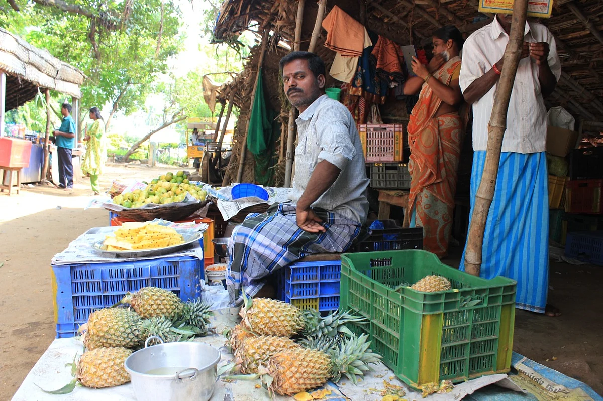 புளியஞ்சோலை