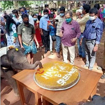 கடந்த ஆண்டு பிறந்தநாள் கொண்டாடிய
ஶ்ரீ குட்டி