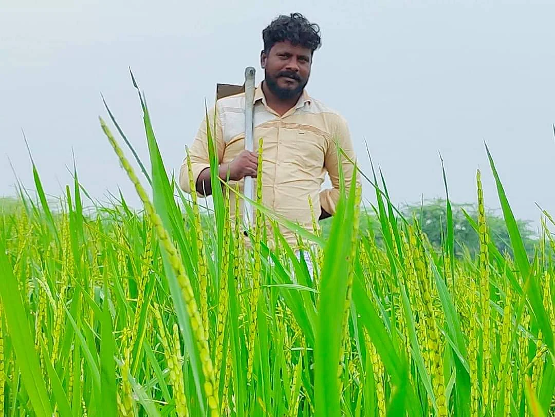 மீனவர் கிங்ஸ்டன்