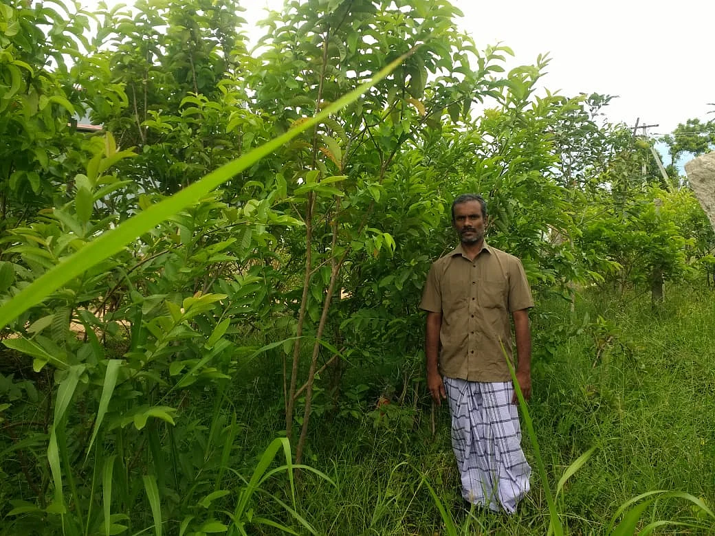 சொந்த நிலம் இல்ல, பல ரக பாரம்பரிய மரங்கள் இருக்கு! - அடர்வனம் உருவாக்கும் ஆட்டோக்காரர்