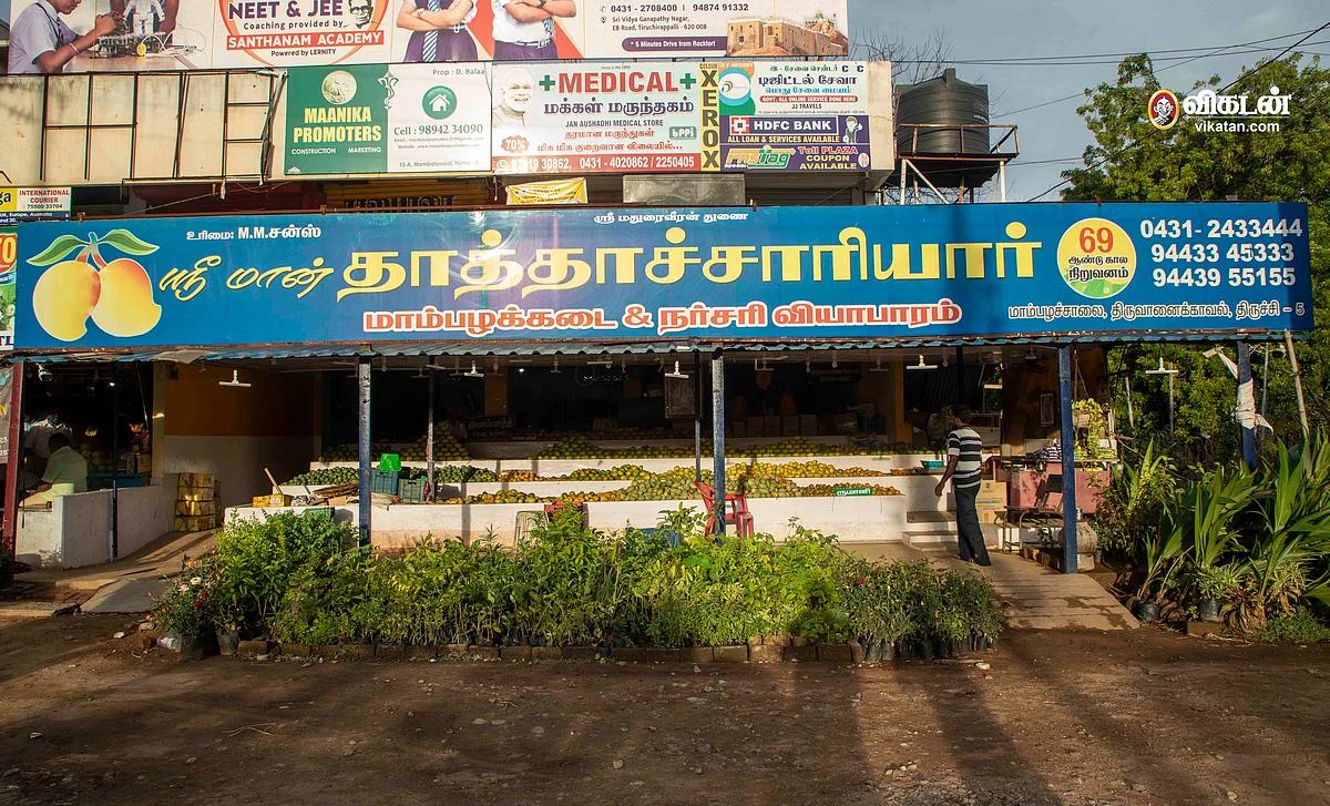 தாத்தாச்சாரியார் மாம்பழக்கடை