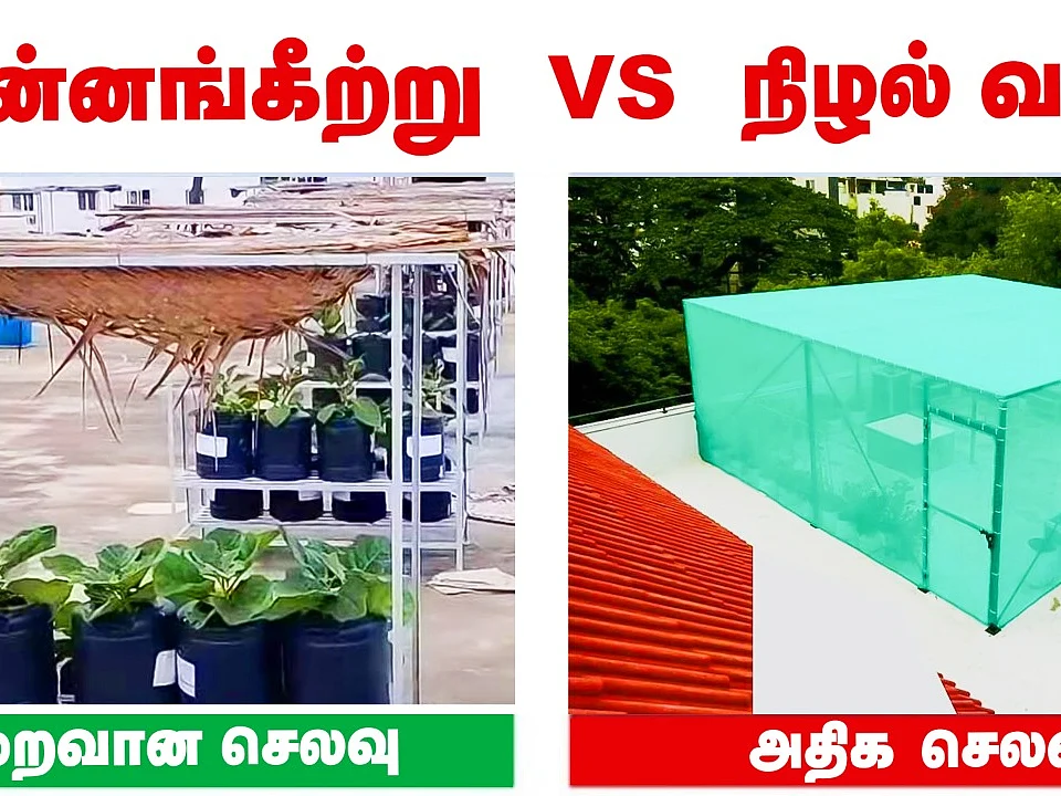 மாடித்தோட்டத்தில் தென்னங்கீற்று... மிச்சமாகும் செலவு |Terrace Garden