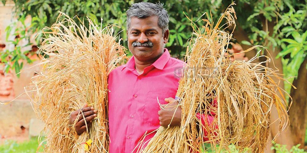 அன்புச்செல்வன்