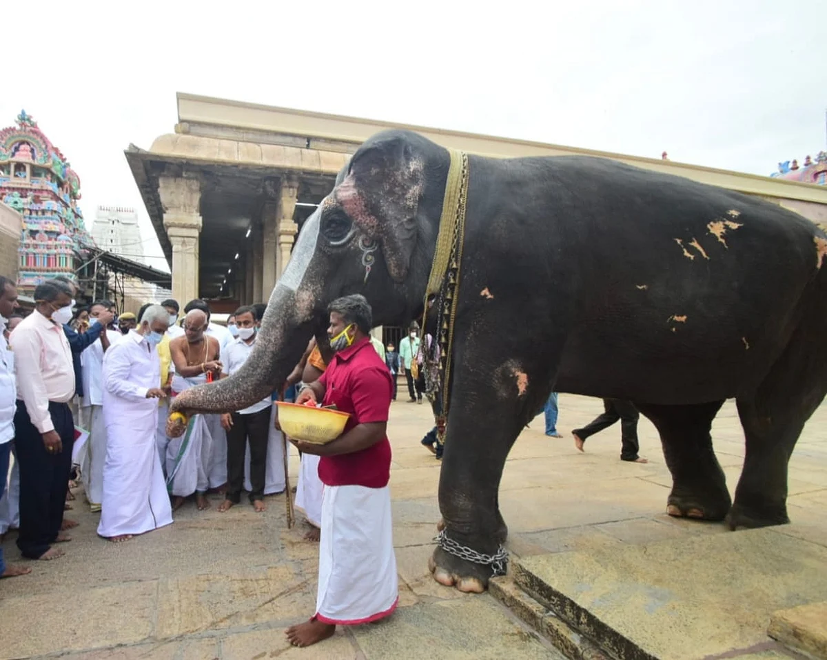 அமைச்சர்