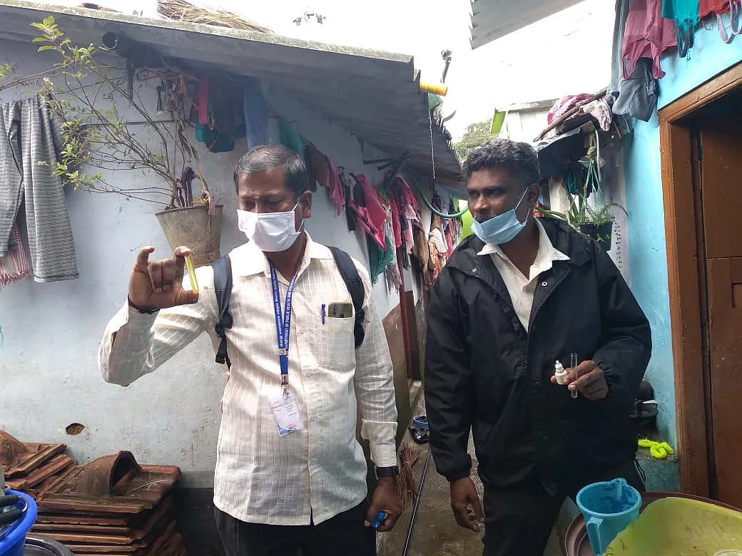 டெங்கு பரிசோதனை