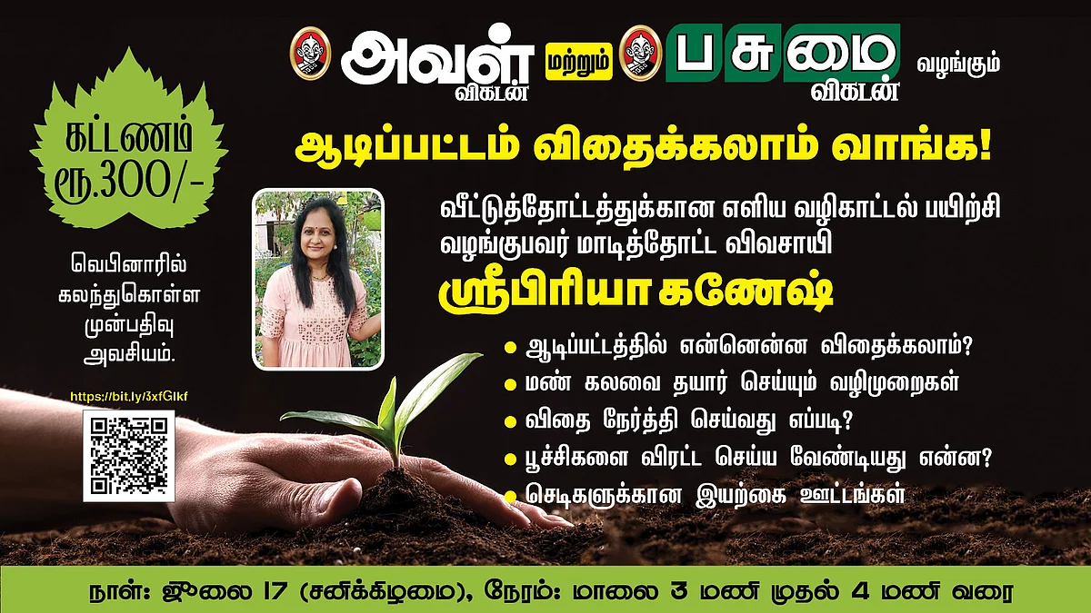 மாடித்தோட்டம்
