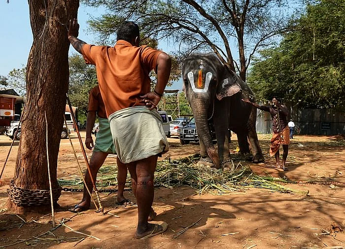 கஜபூஜை