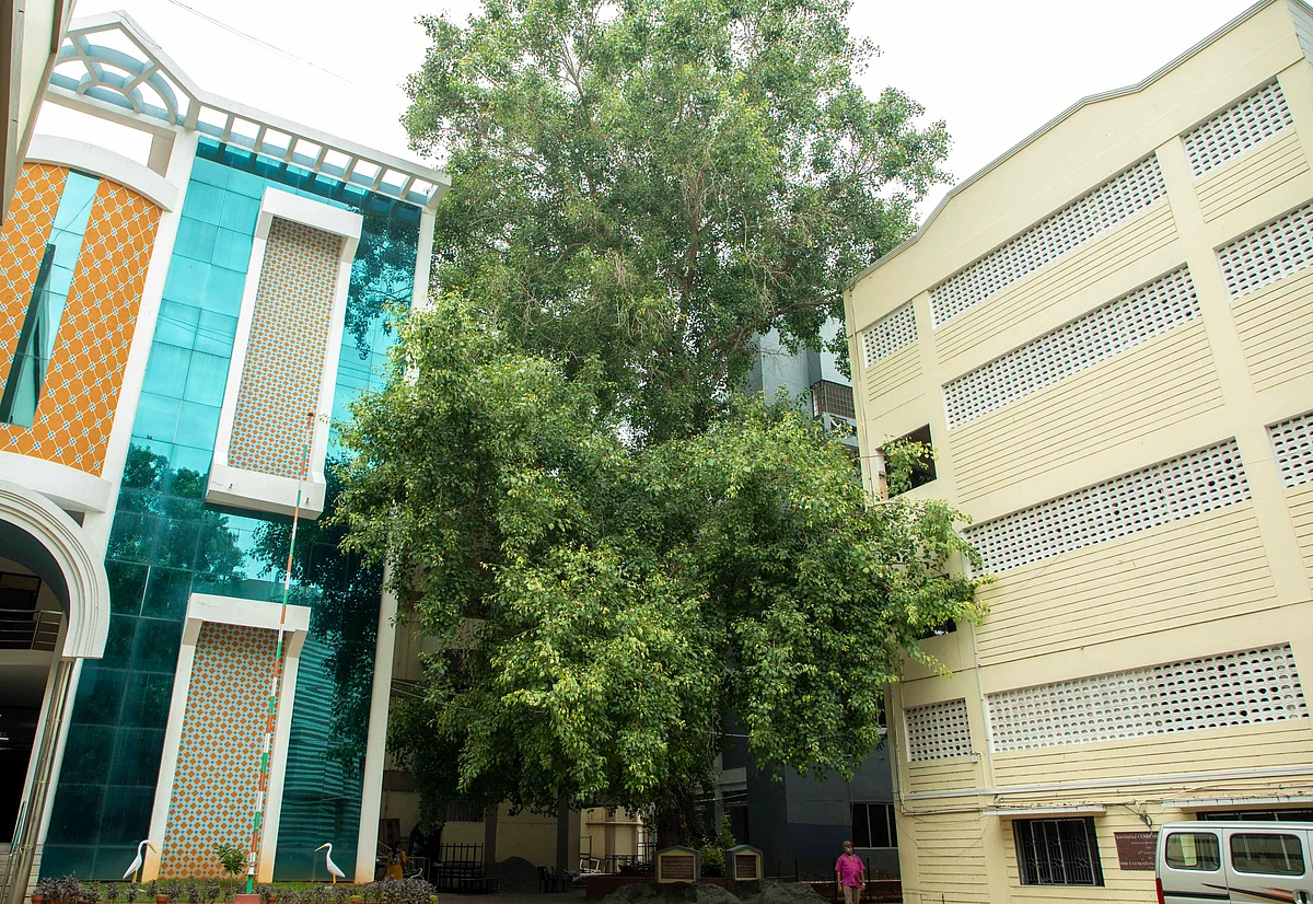 இந்திரா காந்தி கல்லூரி, திருச்சி