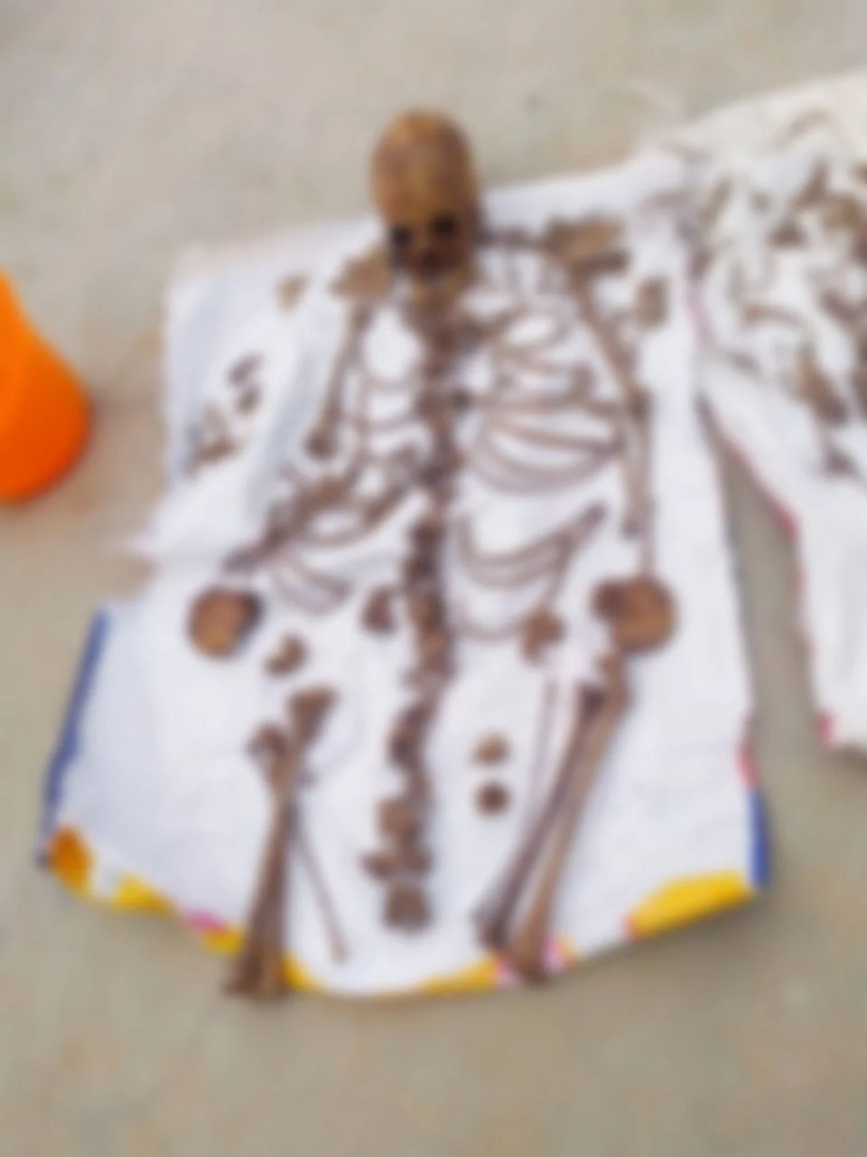 எடுக்கப்பட்ட எலும்பு கூடு