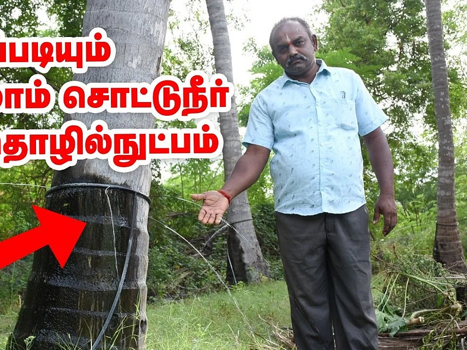 நேரடியாக வேருக்கே போகும் நீர்; விவசாயியின் எளிய சொட்டுநீர் நுட்பம்! | Coconut Drip Irrigation