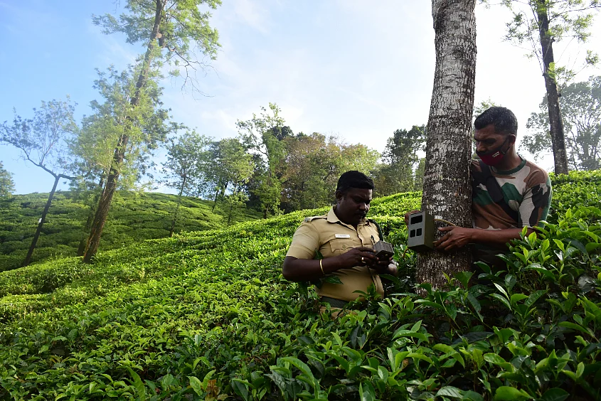 மயக்க ஊசி; தீவிர கண்காணிப்பு; ‘உடைந்த கொம்பன்’ சங்கர் மீட்கப்பட்ட பின்னணி! #VikatanPhotoStory