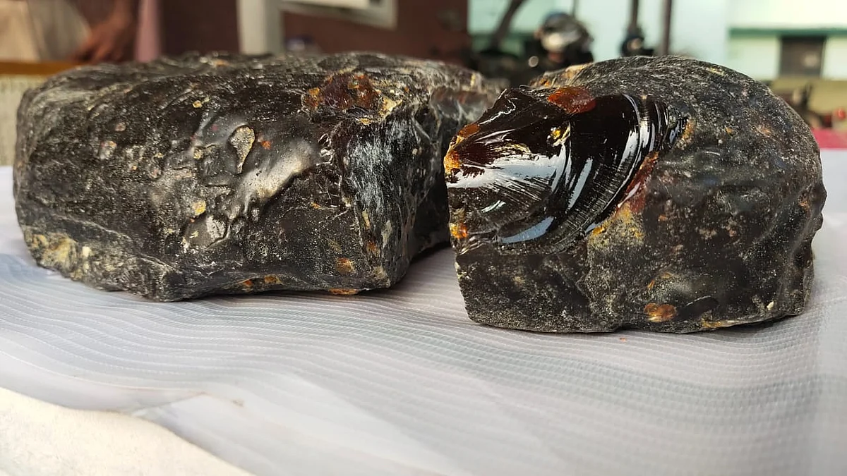 கறுப்பு நிற அம்பர்கிரிஸ்