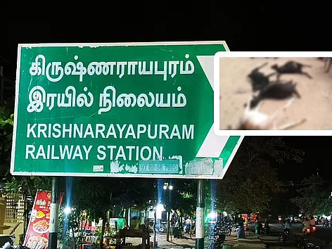 கரூர்:`ஆடுகளைக் கொன்னு, ஆத்திரத்தைத் தீர்த்துக்கிட்டேன்!’ - முன்விரோதத்தில் உறவினரின் வெறிச்செயல்