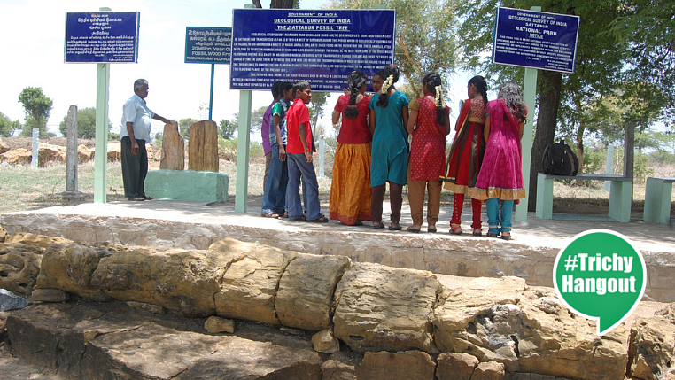 கல்மரத்தைப் பார்வையிடும் மாணவிகள்