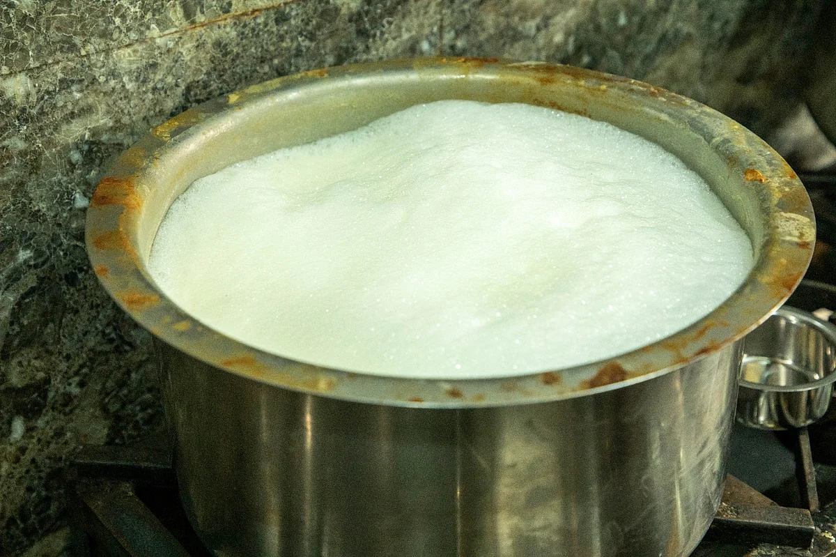 பசும் பால்