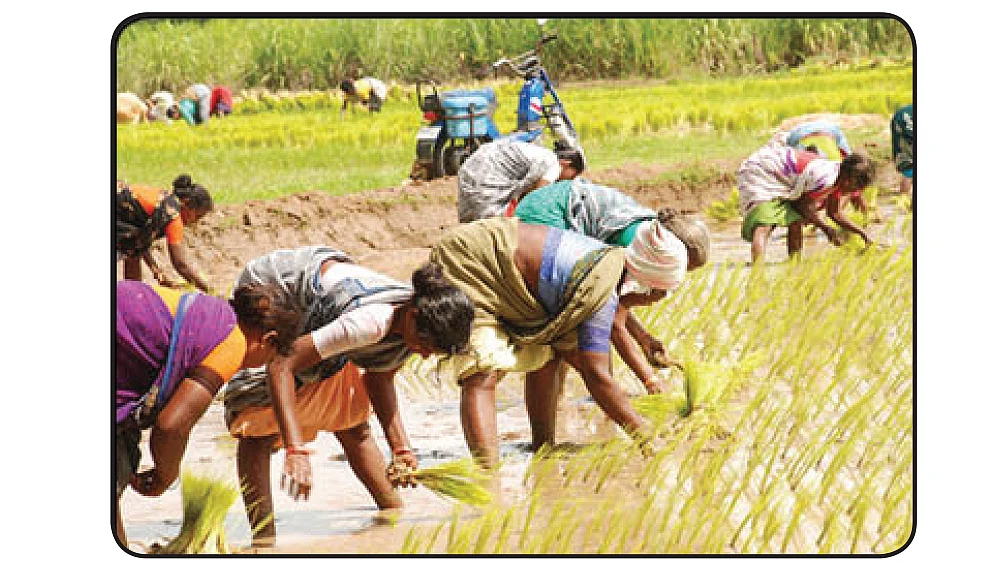 பசுமை ஒலி