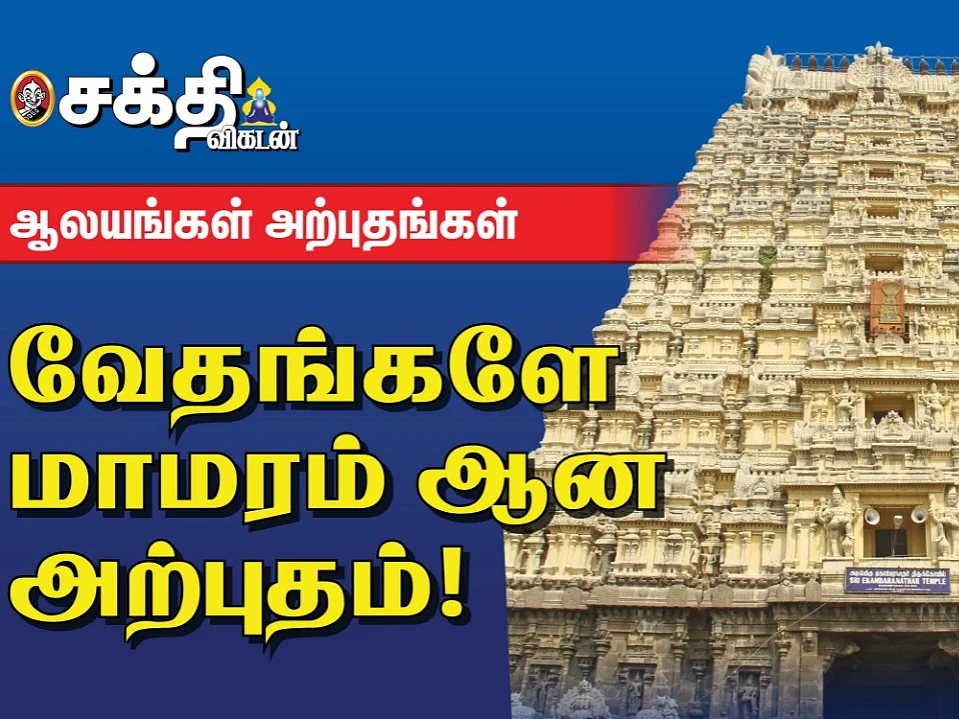 மங்கலம் அருளும் மாவடி சேவை | Kancheepuram |ஏகாம்பரேஸ்வரர் கோயில் அற்புதங்கள்!