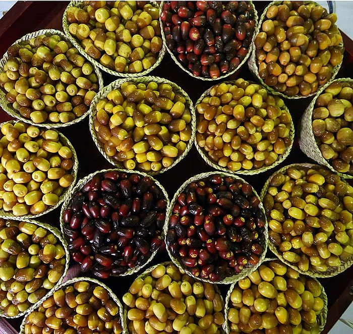 பேரீச்சை திருவிழா