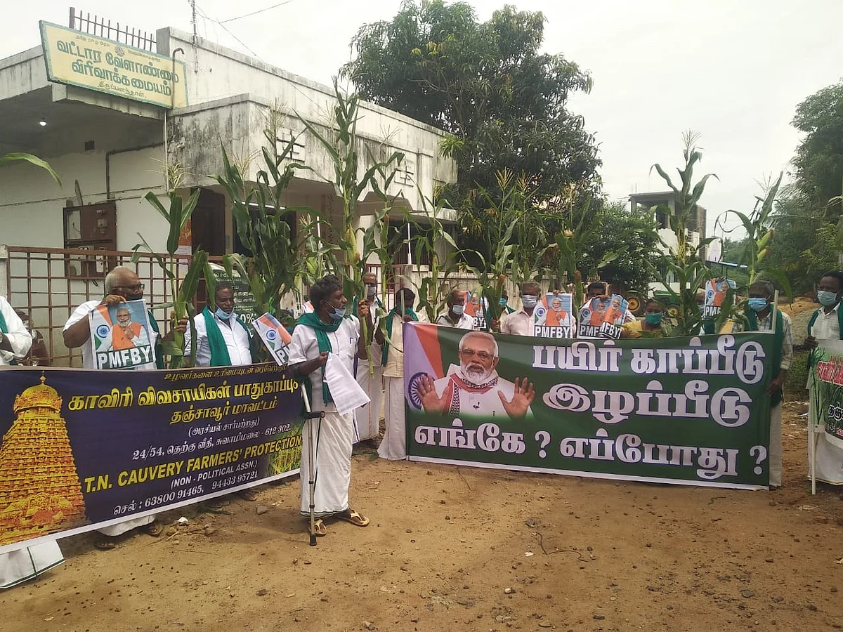 சோளப்பயிர்களுடன் போராட்டம்
