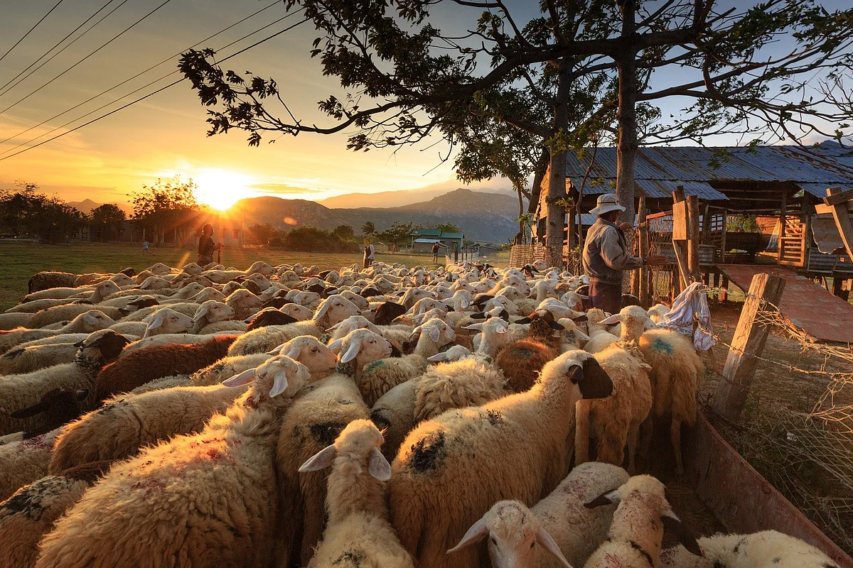 Representational image