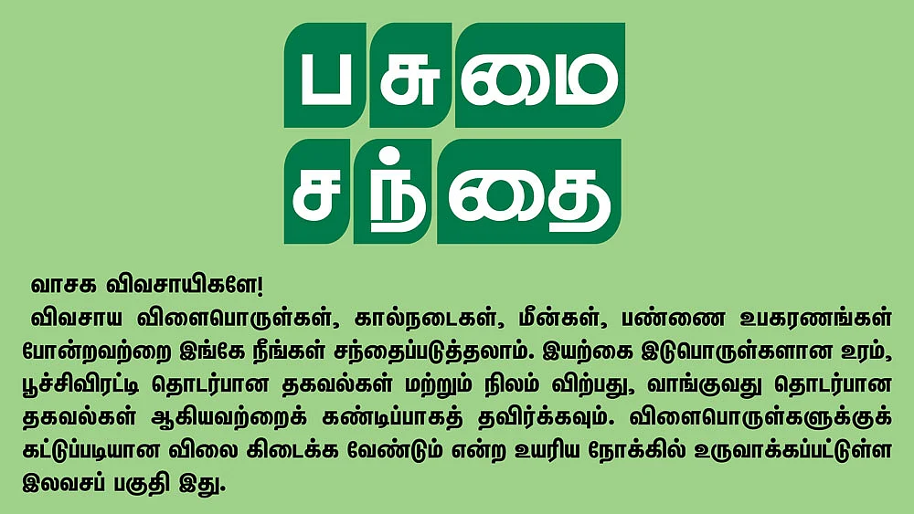 பசுமை சந்தை