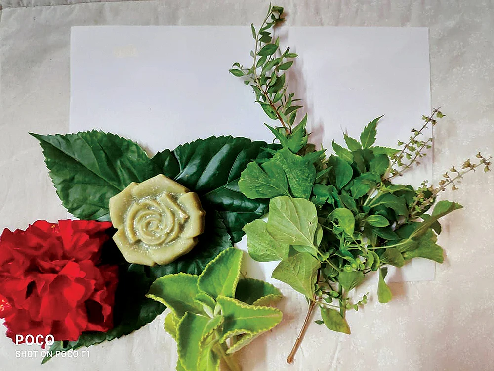 குப்பைமேனி சோப்