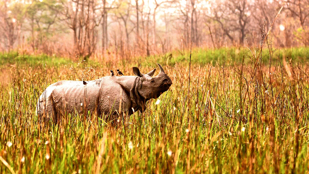 Road trips in Northeast India