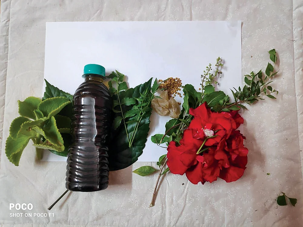 மூலிகை எண்ணெய்