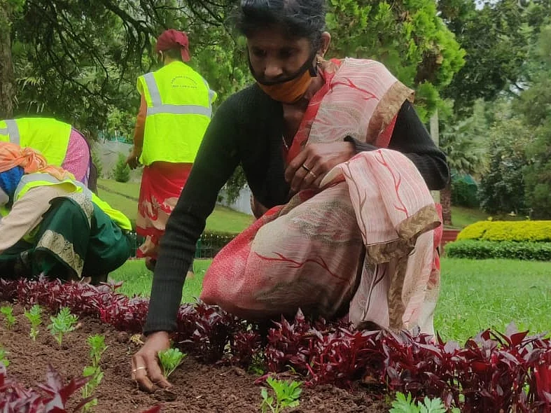 75 ரகங்கள், 1,70,000 மலர் நாற்றுகள்; கொட்டும் மழையிலும் நடவுசெய்யும் பூங்கா பணியாளர்கள்!