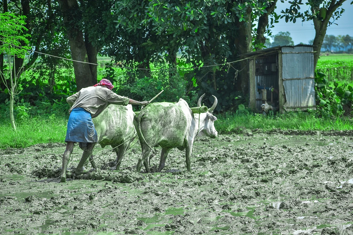 Representational Image