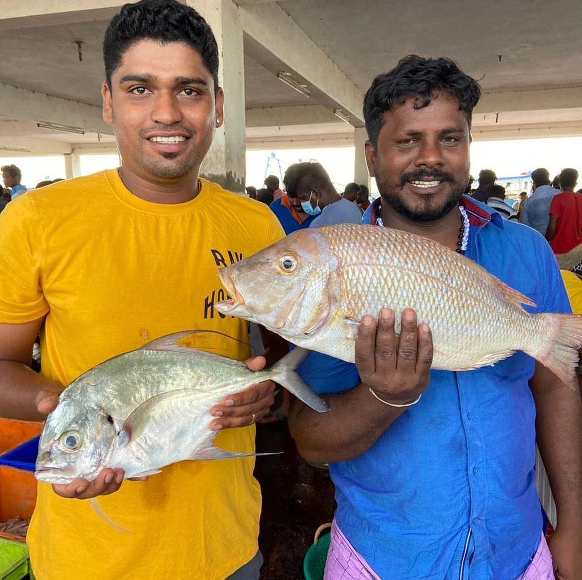 மீனவர் கிங்ஸ்டன்