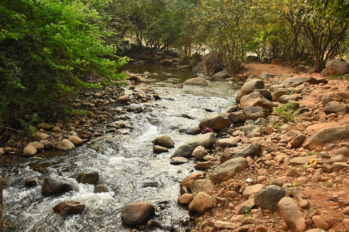 புளியஞ்சோலை