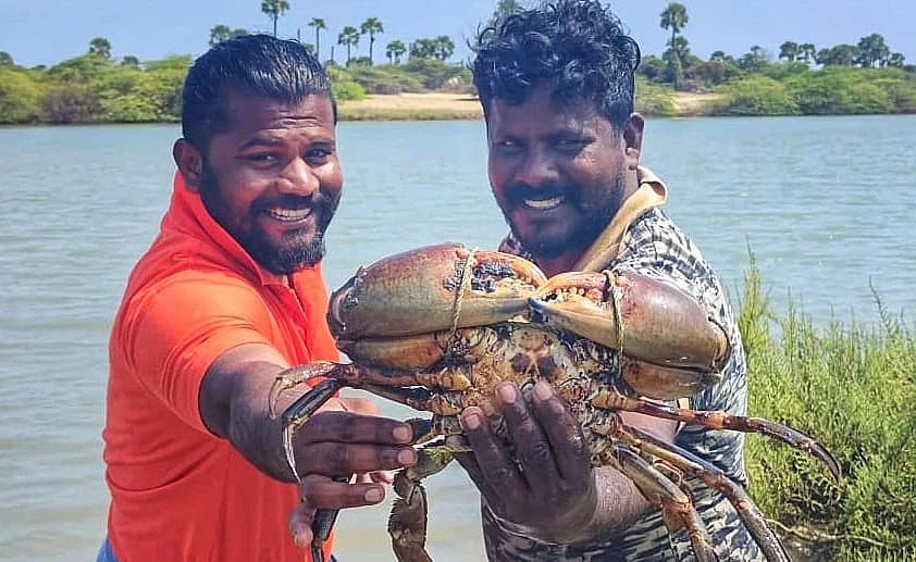 மீனவர் கிங்ஸ்டன்