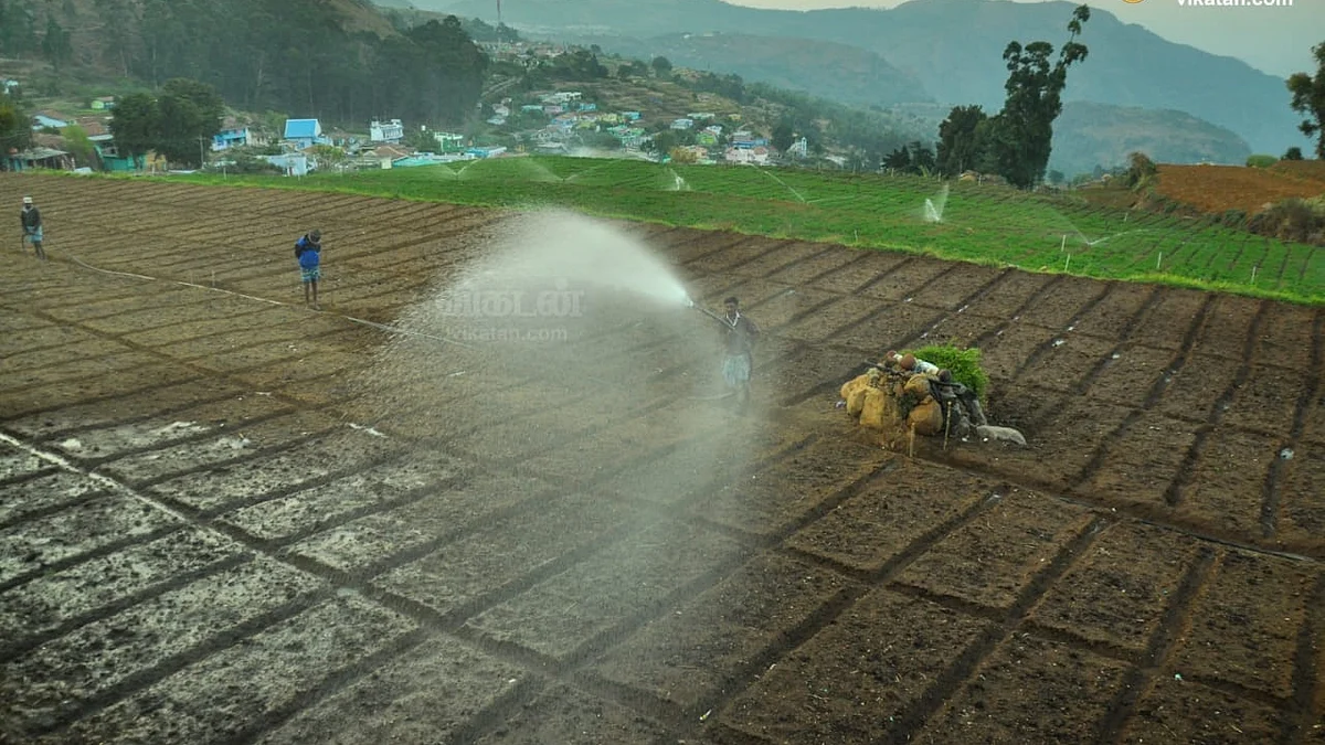 farming