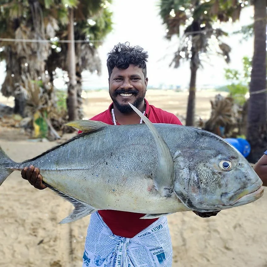மீனவர் கிங்ஸ்டன்