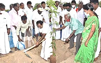 `மரக்கன்றுகளை நட்டு வளர்ப்பவர்களுக்கு தமிழக அரசின் பசுமை விருது!' - சுற்றுச்சூழல் அமைச்சர் அறிவிப்பு