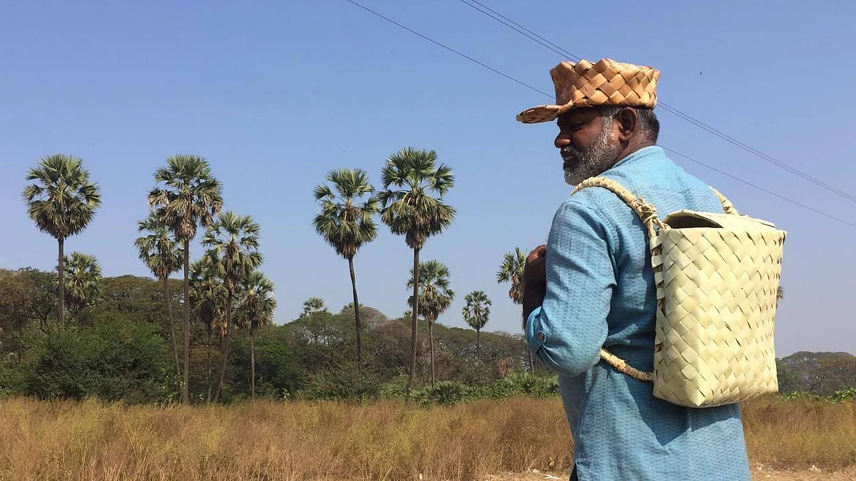 பனை மர ஆராய்ச்சியாளர் காட்சன் சாமுவேல்