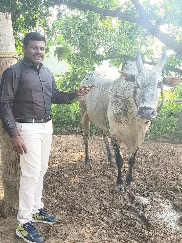 மருத்துவர் மெரில் ராஜ்